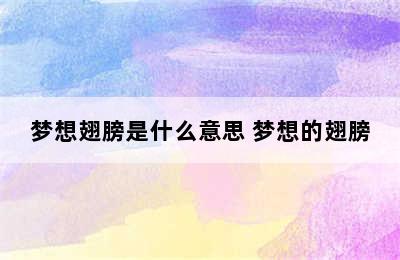 梦想翅膀是什么意思 梦想的翅膀